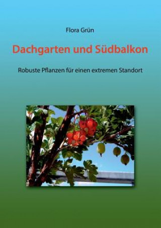 Kniha Dachgarten und Sudbalkon Flora Grün