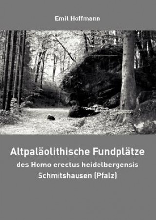 Carte Altpalaolithische Fundplatze des Homo erectus heidelbergensis Schmitshausen (Pfalz) Emil Hoffmann