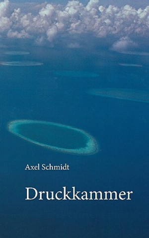 Kniha Druckkammer Axel Schmidt