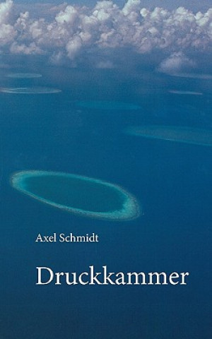 Buch Druckkammer Axel Schmidt