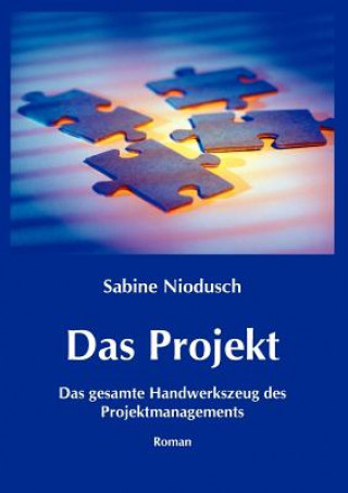 Kniha Projekt Sabine Niodusch