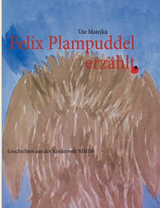 Könyv Felix Plampuddel erzahlt Ute Matejka