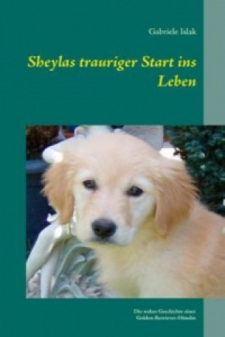 Carte Sheylas trauriger Start ins Leben Gabriele Islak