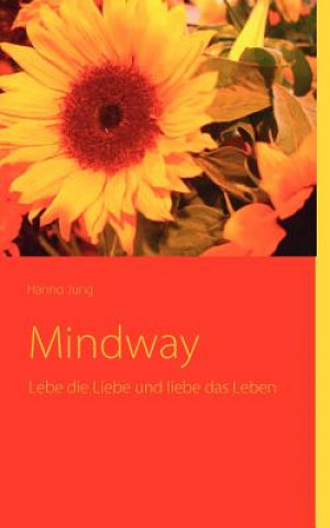 Kniha Mindway Hanno Jung
