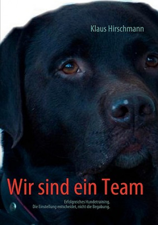 Knjiga Wir sind ein Team klaus Hirschmann