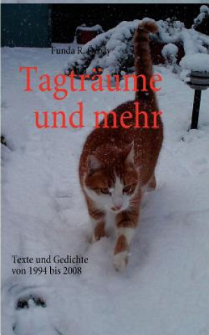 Книга Tagtraume und mehr Funda R. Özbay