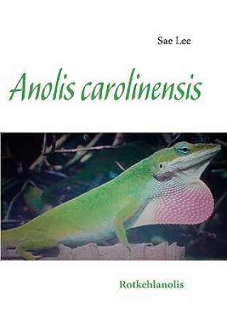 Kniha Anolis carolinensis Sae Lee