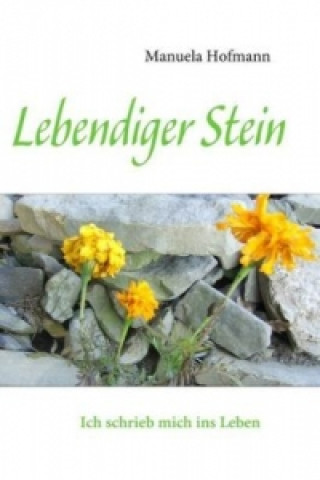 Buch Lebendiger Stein Manuela Hofmann