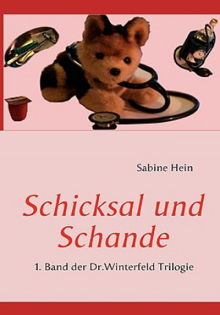 Kniha Schicksal und Schande Sabine Hein
