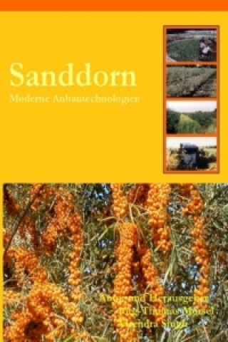 Könyv Sanddorn Jörg-Thomas Mörsel