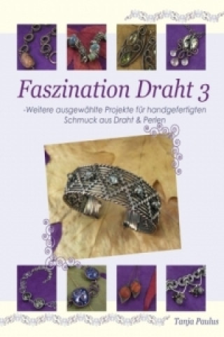 Kniha Faszination Draht 3 Tanja Paulus