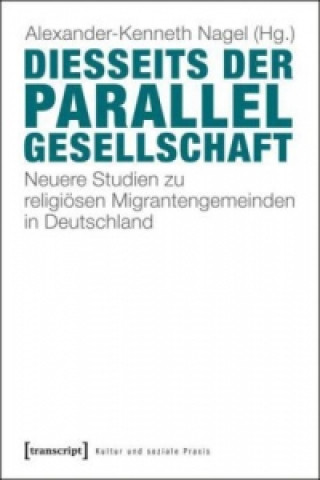 Book Diesseits der Parallelgesellschaft Alexander-Kenneth Nagel