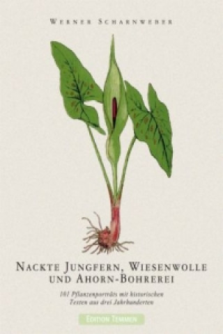 Kniha Nackte Jungfern, Wiesenwolle und Ahorn-Bohrerei Werner Scharnweber