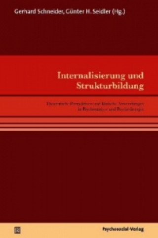 Kniha Internalisierung und Strukturbildung Gerhard Schneider