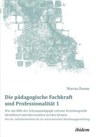 Kniha padagogische Fachkraft und Professionalitat Marcus Damm