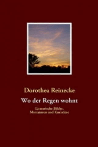 Книга Wo der Regen wohnt Dorothea Reinecke