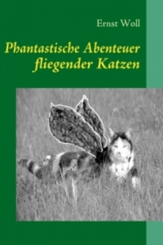 Book Phantastische Abenteuer fliegender Katzen Ernst Woll