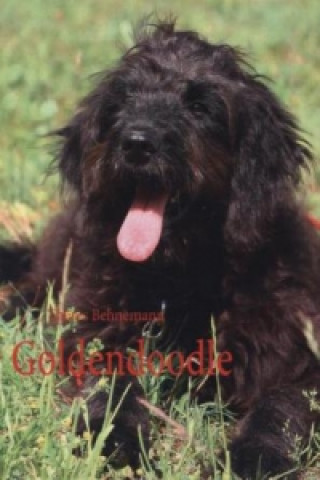 Книга Goldendoodle Theres Behnemann