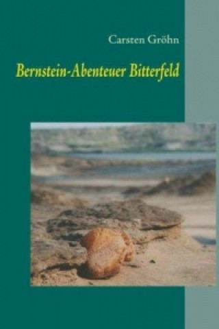 Könyv Bernstein-Abenteuer Bitterfeld Carsten Gröhn
