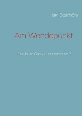 Könyv Am Wendepunkt Harri Steinhöfel