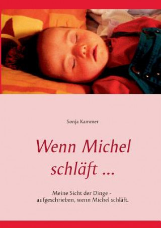 Kniha Wenn Michel schlaft ... Sonja Kammer