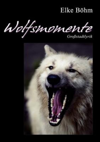 Buch Wolfsmomente Elke Böhm