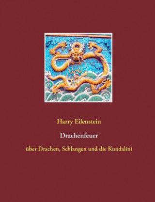 Kniha Drachenfeuer Harry Eilenstein