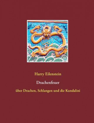 Book Drachenfeuer Harry Eilenstein
