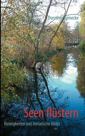 Könyv Seen flustern Dorothea Reinecke