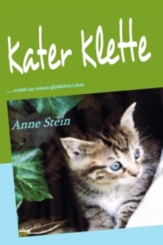 Book Kater Klette Anne Stein