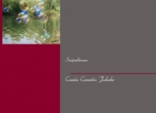 Kniha Seifenblasen Carola Cornelia Juhnke