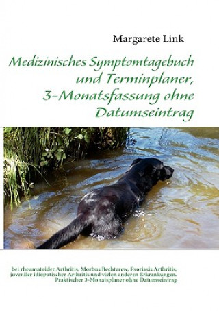 Książka Medizinisches Symptomtagebuch und Terminplaner, 3-Monatsfassung ohne Datumseintrag Margarete Link