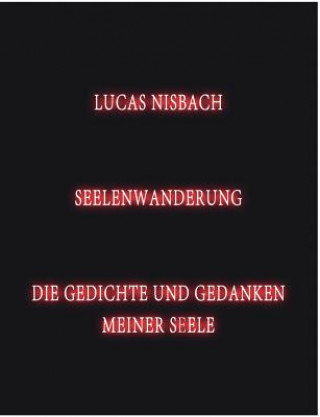 Könyv Seelenwanderung Lucas Nisbach