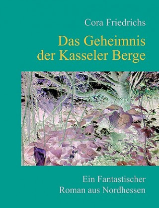 Kniha Geheimnis der Kasseler Berge Cora Friedrichs