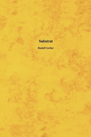 Book Substrat Rudolf Gerber