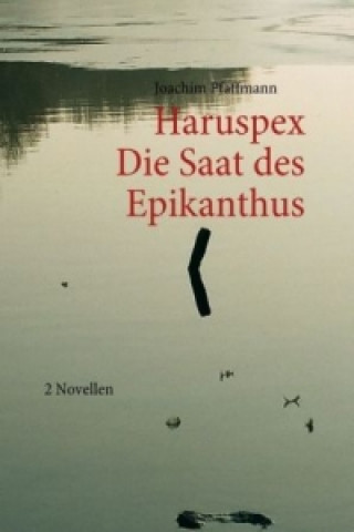 Könyv Die Saat des Epikanthus / Haruspex Joachim Pfaffmann