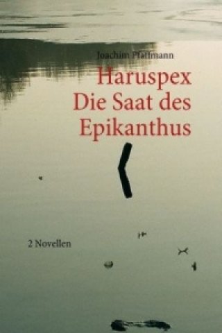 Kniha Die Saat des Epikanthus / Haruspex Joachim Pfaffmann