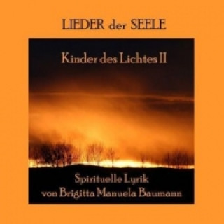 Kniha Kinder des Lichtes II Brigitta M. Baumann