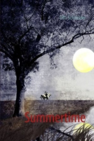 Boek Summertime Ulla Schneider