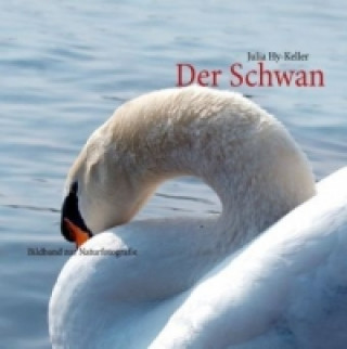 Libro Der Schwan Julia Hy-Keller