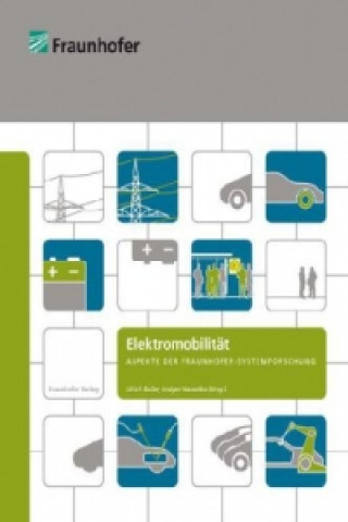 Kniha Elektromobilität. Ulrich Buller