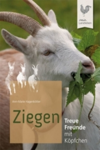 Kniha Ziegen Ann-Marie Hagenkötter