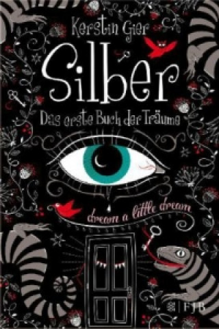 Knjiga Silber - Das erste Buch der Träume Kerstin Gier