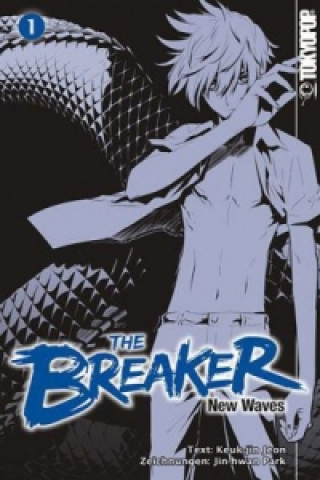 Kniha The Breaker - New Waves. Bd.1 Jin-Hwan Park