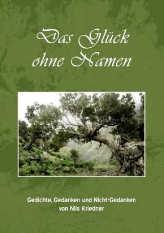 Kniha Gluck ohne Namen Nils Kriedner