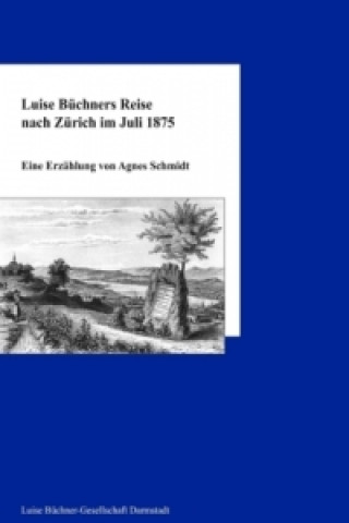 Könyv Luise Büchners Reise nach Zürich im Juli 1875 Agnes Schmidt