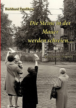 Livre Steine in der Mauer werden schreien... Burkhard Pandikow