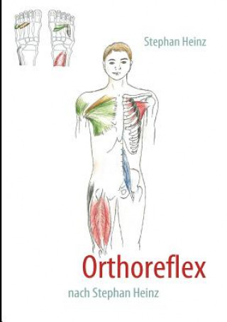 Könyv Orthoreflex Stephan Heinz