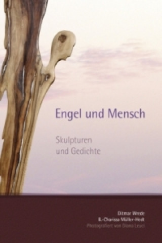 Buch Engel und Mensch Ditmar Wrede