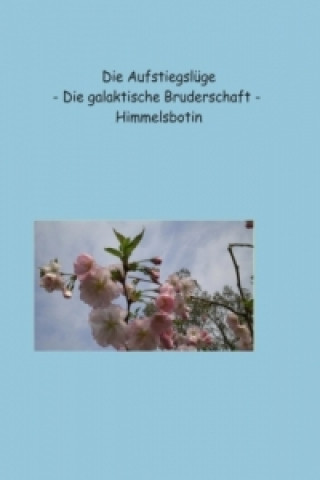 Könyv Die Aufstiegslüge Petra Himmelsbotin